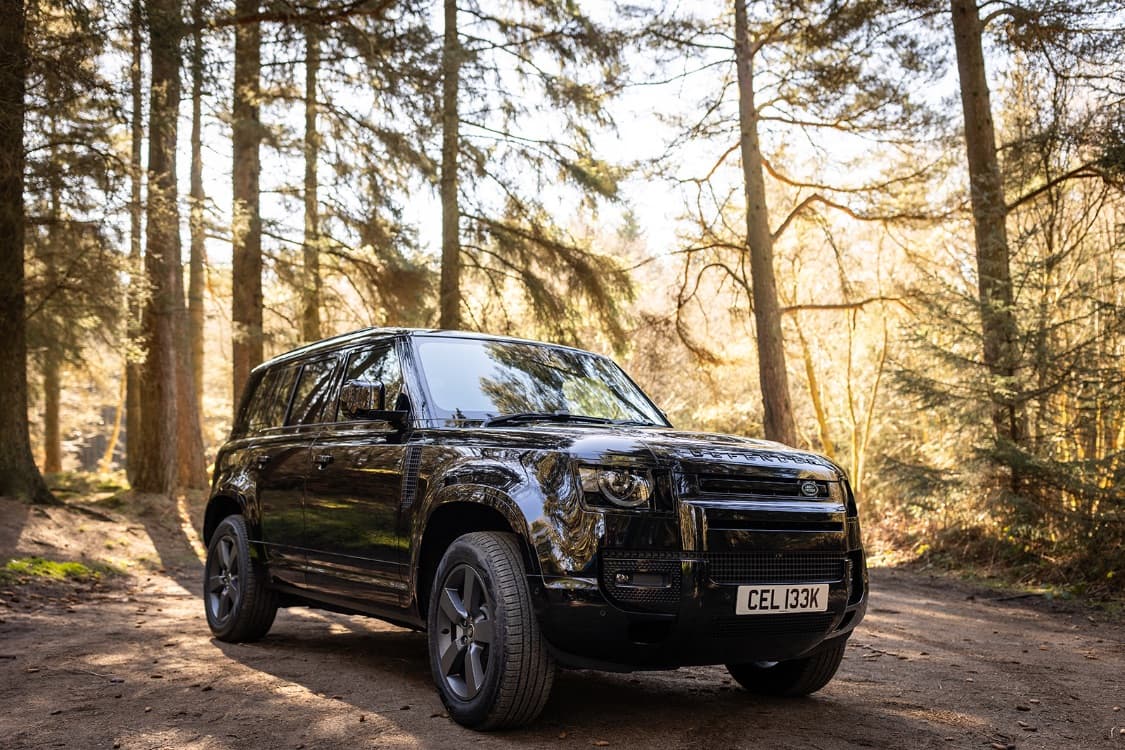 Defender 110 parked on a forest track in dappled sunlight