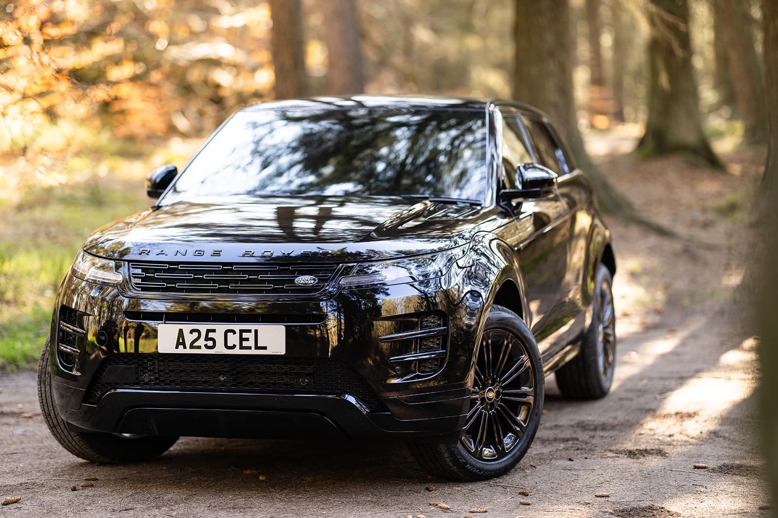 Range Rover Evoque parked on a forest track